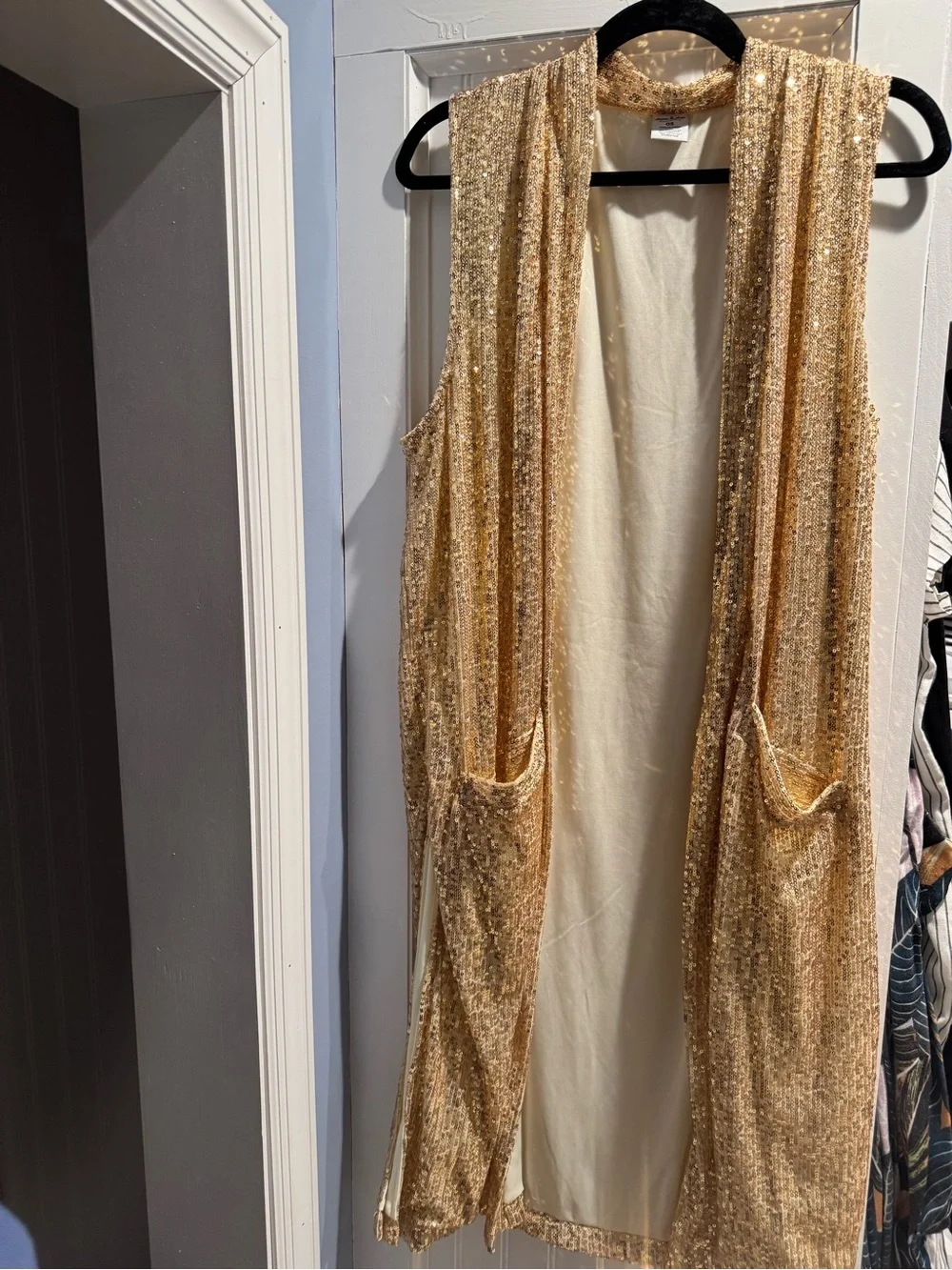 Anna and Ava Gold Sequin sleeveless Long vest cover
